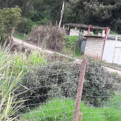 The Benefits of Smart Home Technology